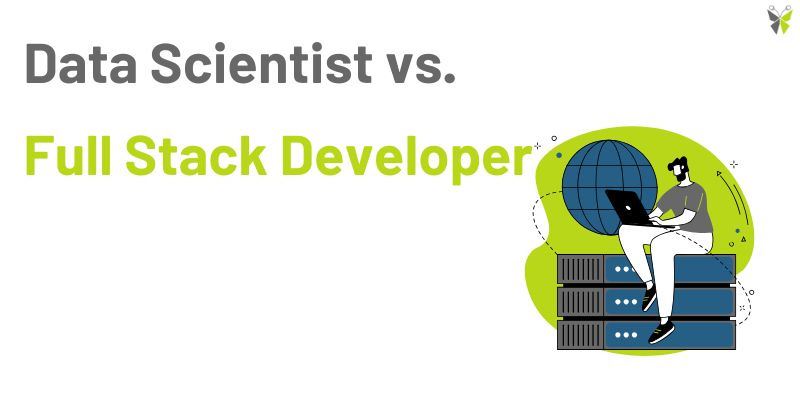 data scientist vs full stack developer